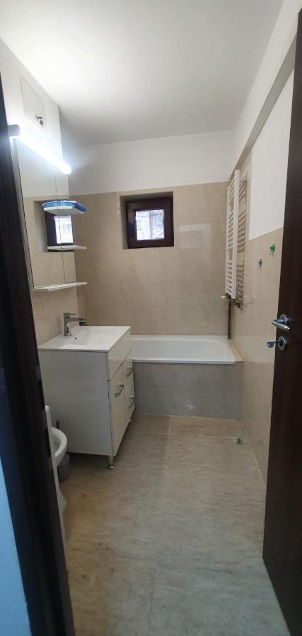 Apartament 3 Camere Spatios Timisoara Exterior foto