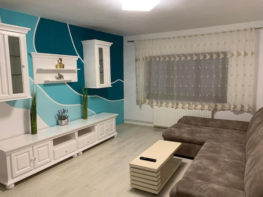 Apartament 3 Camere Spatios Timisoara Exterior foto